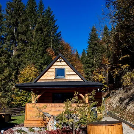 Σπίτι διακοπών Kocierska Kocierz Rychwaldzki